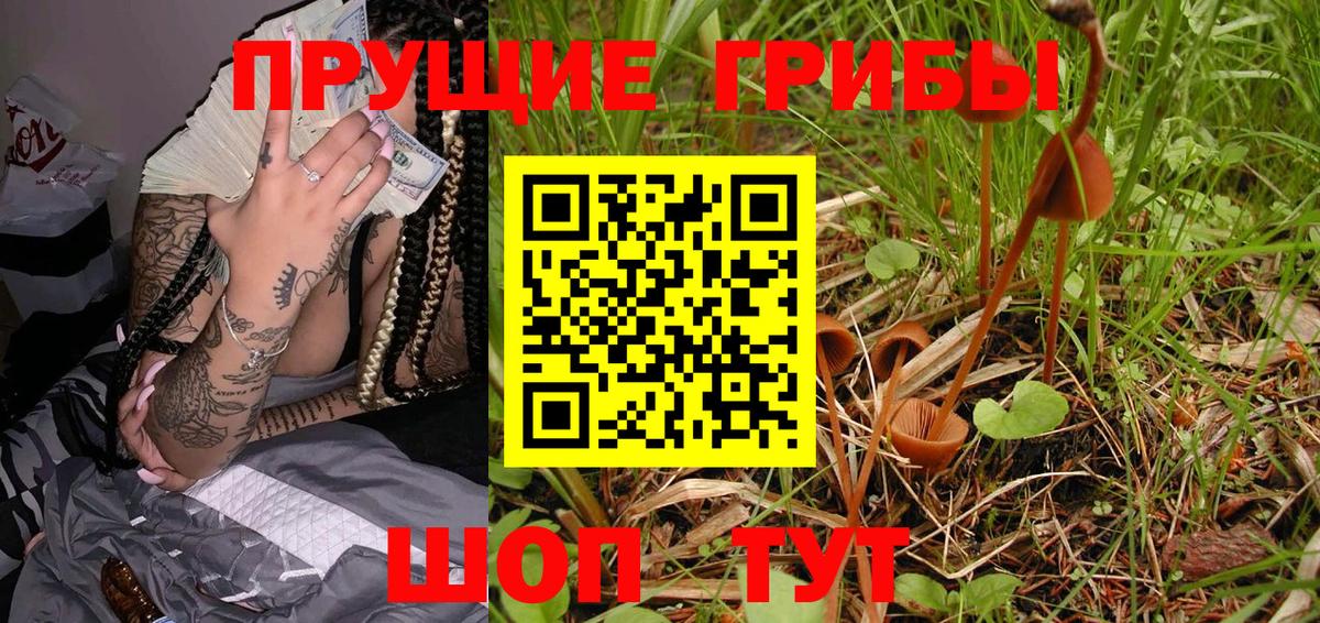 Новомосковск  Псилоцибиновые грибы Cubensis  Вход с VPN 